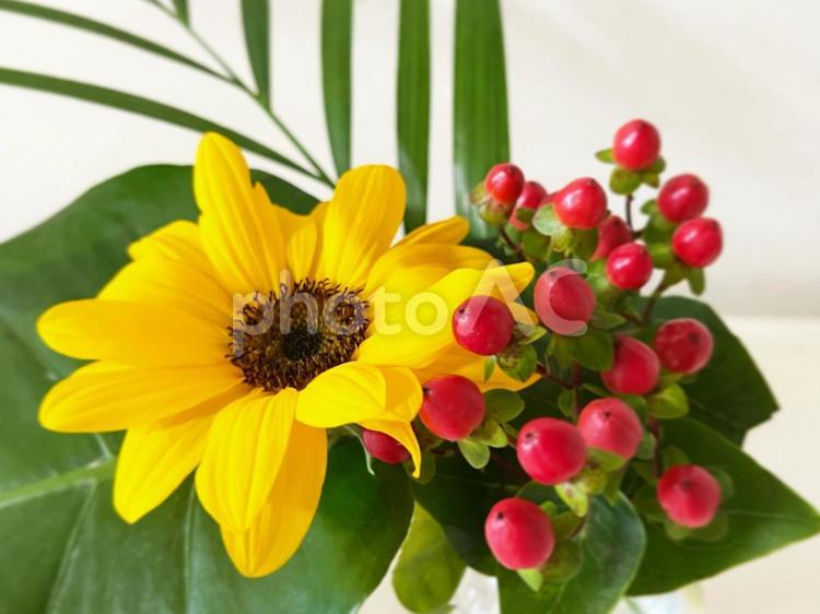 花のある暮らし 花,はな,美しいの写真素材