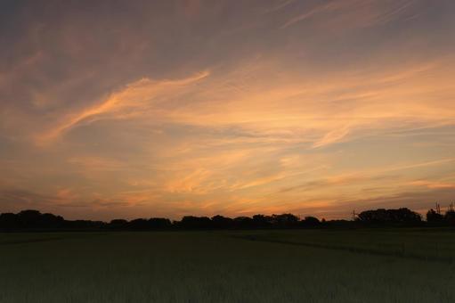 Summer tiled roof at dawn , JPG