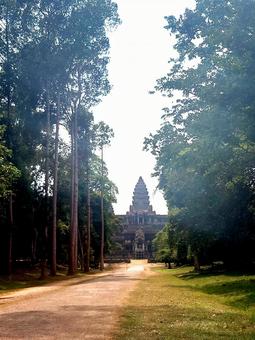 Angkor Wat in the forest, JPG