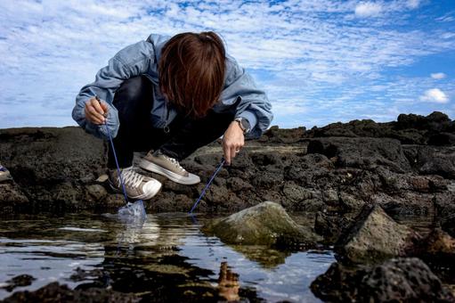＜素材＞磯でガサガサ（小魚捕獲）する女性 女性,磯遊び,海の写真素材