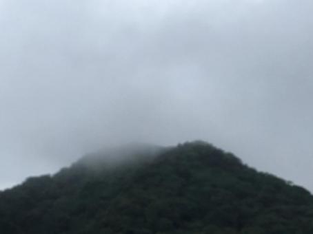 山と霧 山と霧の写真