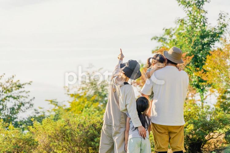 キャンプ場で遊ぶ家族・ファミリーの後ろ姿 キャンプ,家族,子供の写真素材