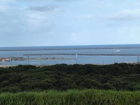 ひたち海浜公園から見える海 ひたち海浜公園から見える海の写真