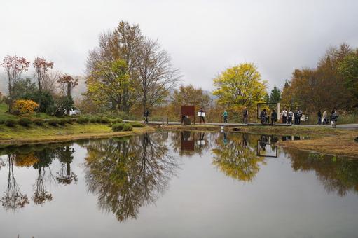 水面に反射する紅葉 紅葉,秋,霧の写真素材