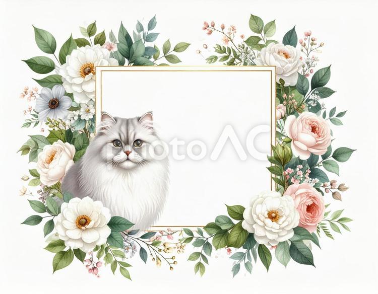 猫と花の飾り枠 猫,花,フレームの写真素材