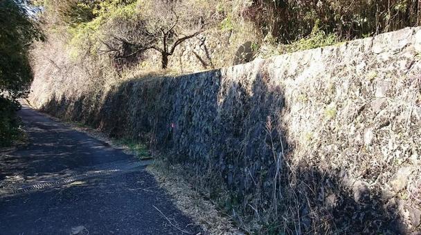 石垣と山道の風景 石垣と山道の風景の写真
