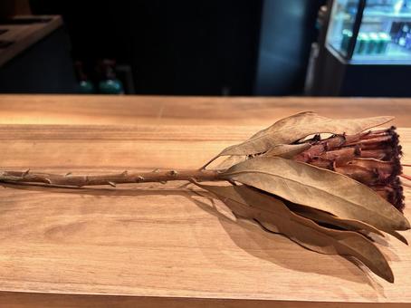 一輪のドライフラワー 一輪のドライフラワー 一輪,ドライフラワー,壁飾りの写真素材