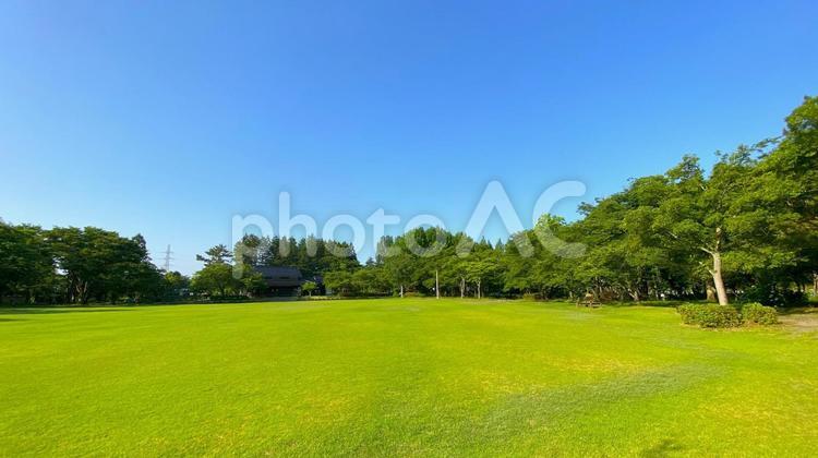 朝の北部公園（金沢市）：33 公園,春,夏の写真素材