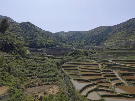 春日の棚田 春日の棚田 あぜ道,春日,棚田の写真素材