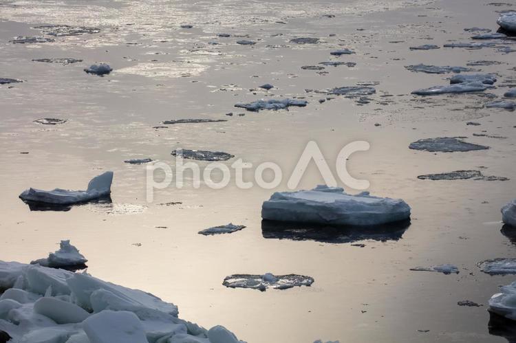 夕暮れの光を反射する氷海 流氷,知床,神秘の写真素材