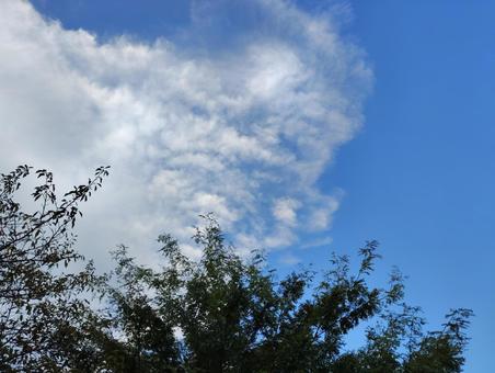 晩夏の空 晩夏の空の写真