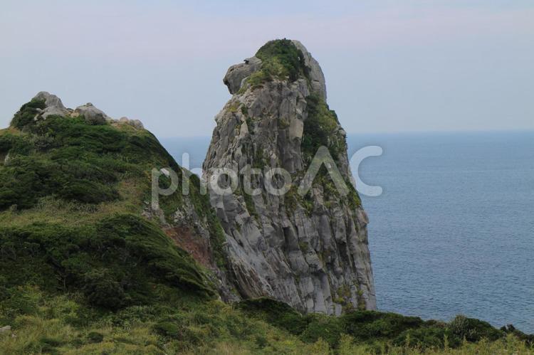 猿の形した岩 風景,自然,海の写真素材