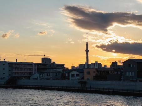 夕暮れの下町と東京スカイツリー 東京都,葛飾区,立石の写真素材