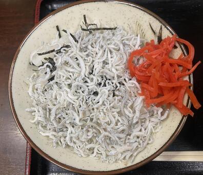 しらす丼　紅生姜 しらす,しらす丼,紅生姜の写真素材