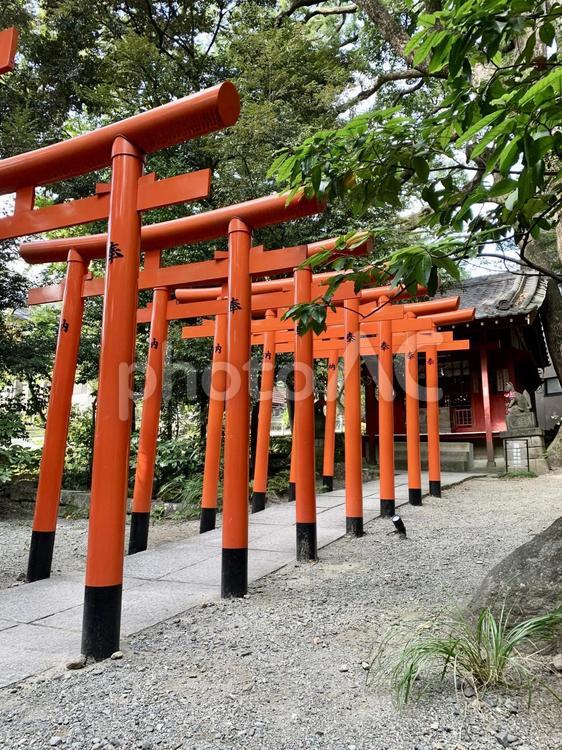 熱海来宮神社パワースポット祈願 厄除け,祈願,パワースポットの写真素材