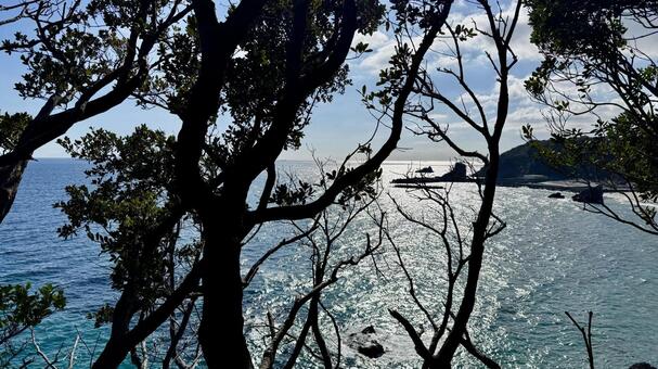 太平洋2 太平洋,砂浜,伊豆の写真素材