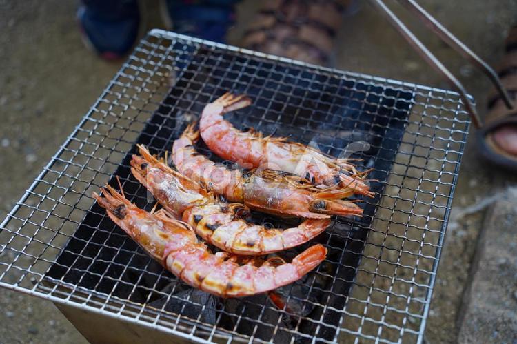 海老（エビ）のバーベキュー（BBQ） アウトドア,キャンプ,エビの写真素材
