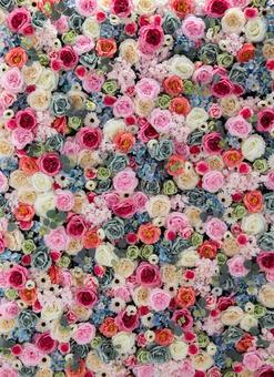 花壁　ミックス　パステル フラワーウォール,背景,薔薇の写真素材