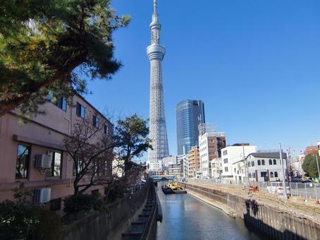 十二月の東京スカイツリー-6 十二月,冬,東京スカイツリーの写真素材