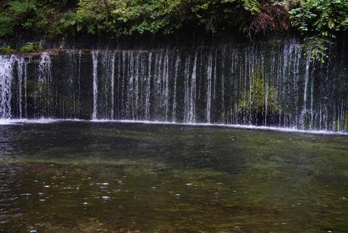 白糸の滝 白糸の滝 白糸の滝,滝,軽井沢の写真素材