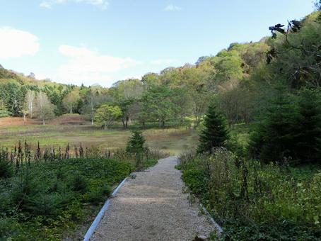 洞爺湖の中島自然道の写真