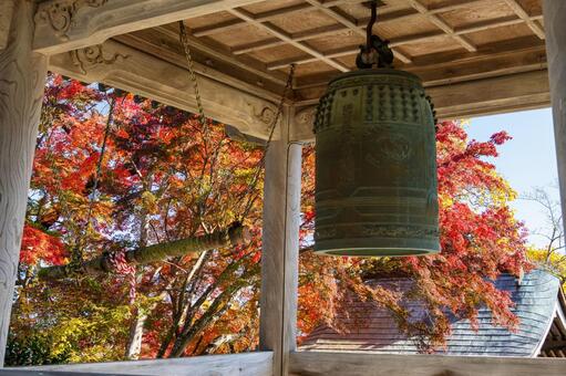 称名寺の紅葉(30) 秋,紅葉,称名寺の写真素材