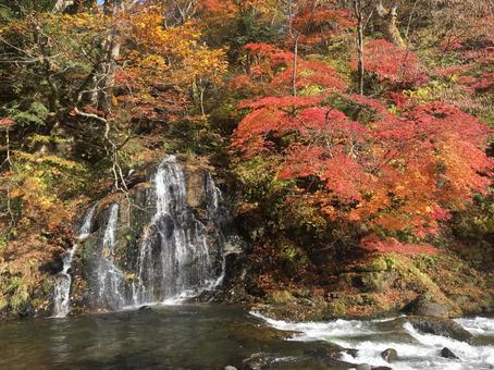 Waterfall and autumn leaves, JPG Waterfall and autumn leaves, JPG