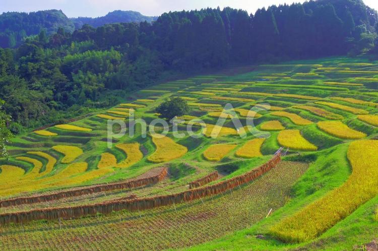 田舎の田園風景 長狭米,農村,風景の写真素材