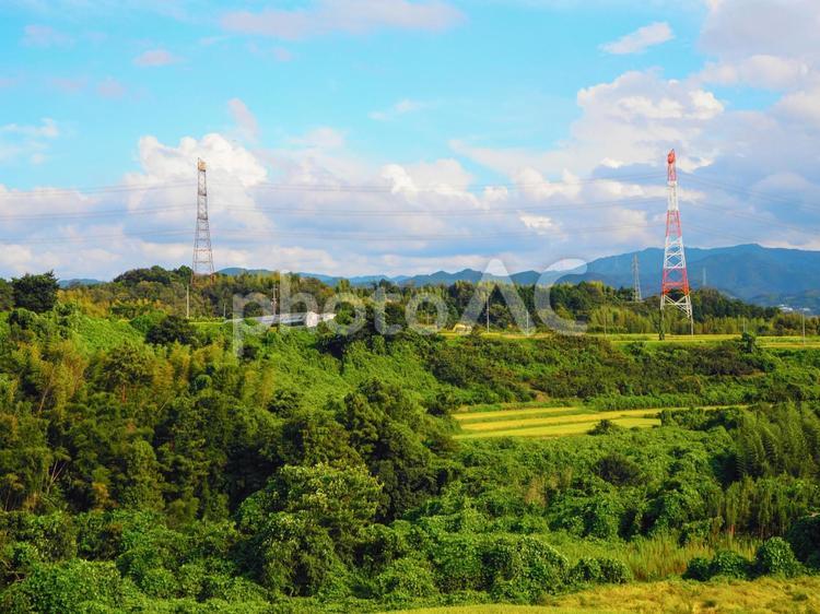 野山、午後の様子　３ 山,自然,木々の写真素材