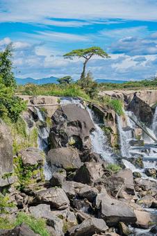 鹿児島　曽木の滝の風景 曽木の滝,鹿児島,自然の写真素材