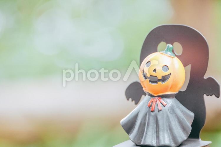 ハロウィーンがとても楽しみです ハロウィーン,かぼちゃ,人形の写真素材
