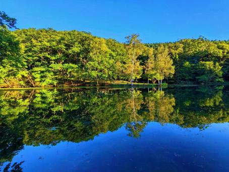 水面に映る樹木 富良野 水面に映る樹木 富良野 鏡面反射,北海道富良野市東鳥沼1,鳥沼公園の写真素材
