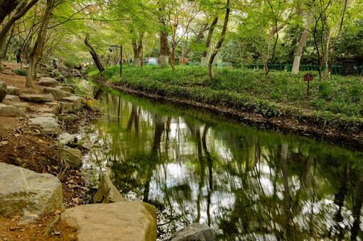 杭州・九溪 九溪,杭州,中国の写真素材