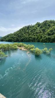 水没林 水没林 水没林,湖,木の写真素材
