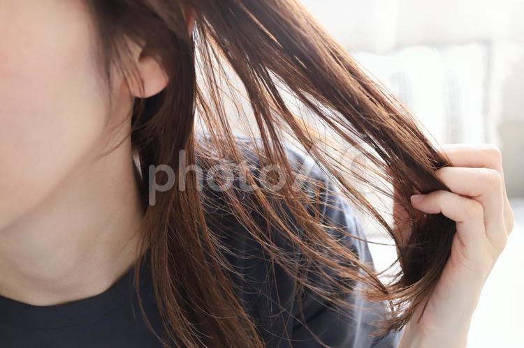 髪の毛を触る女性　ヘアケアイメージ 髪の毛,髪,ヘアケアの写真素材