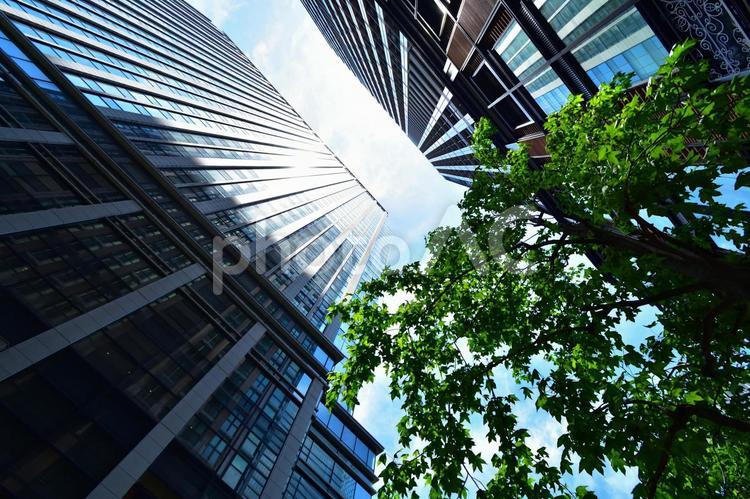 ビルと青空　都会と青空　東京駅近辺 ビル,太陽,青空の写真素材