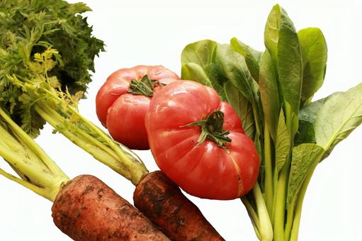 野菜 野菜 野菜,無農薬,トマトの写真素材