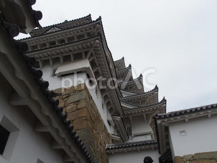 旅　兵庫県　姫路城　初秋 旅,兵庫県,姫路城の写真素材