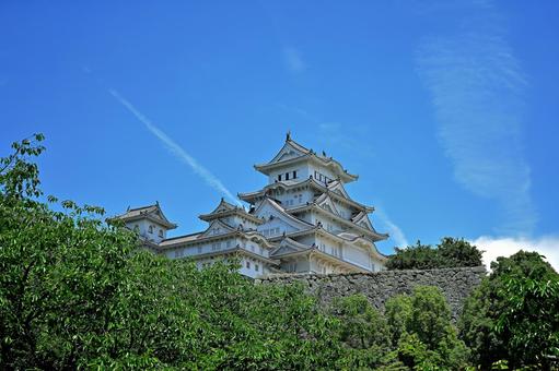 青空たなびく真っ白な飛行雲と姫路城 姫路城,日本城,歴史の写真素材