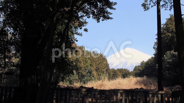 山宮浅間神社遥拝所から望む春の富士山 富士山,神社,世界文化遺産の写真素材