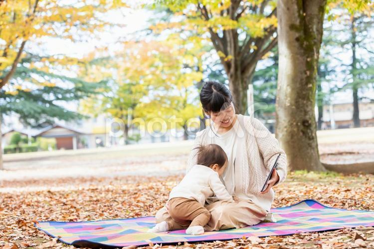 秋の公園でママとタブレットPCで遊ぶ赤ちゃん ピクニック,動画,タブレットの写真素材