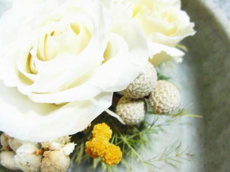 Photo, rose, flower, white, 