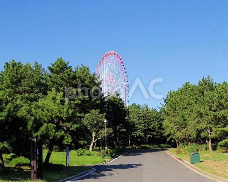 葛西臨海公園の風景 葛西臨海公園,景観,風景の写真素材