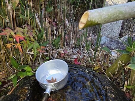 ひしゃくとししおどし 庭園,日本庭園,ししおどしの写真素材