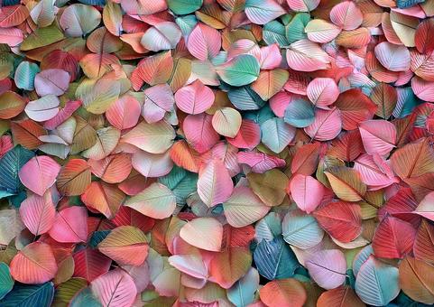 カラフル落ち葉 カラフル落ち葉の写真