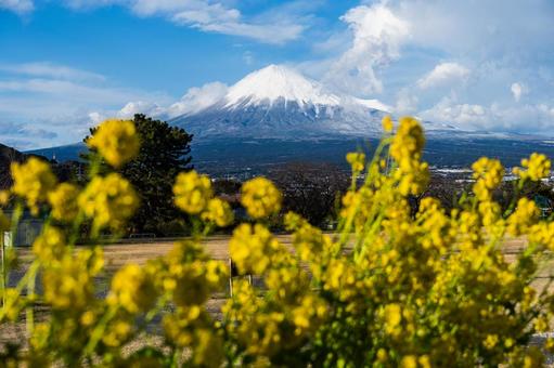 春の富士山 春の富士山の写真
