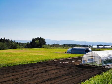 ビニールハウスのある明るい農村風景 ビニールハウスのある明るい農村風景 農村,田園,ビニールハウスの写真素材