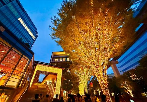 立川のおしゃれな街並みとイルミネーション 空,夜,夜景の写真素材