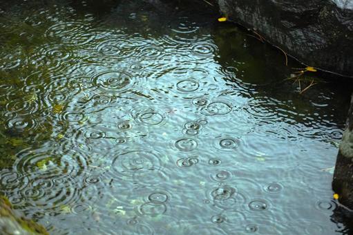 雨の波形3-自然の美 雨の波形3-自然の美 雨,雨の波形,波形の写真素材