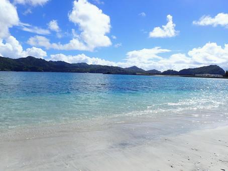 小笠原の海と青空 小笠原,海,ビーチの写真素材